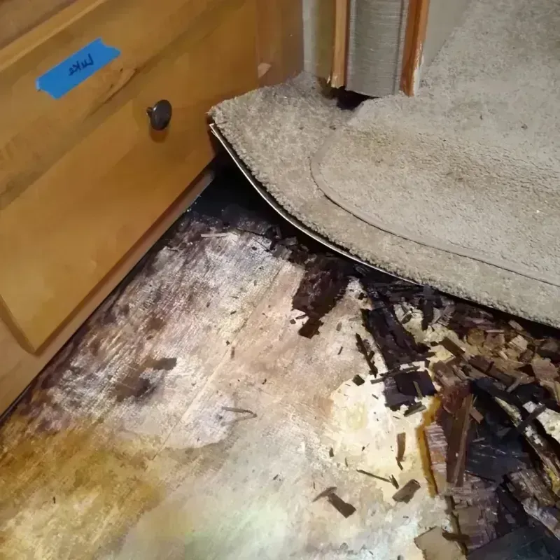 Best Wood Floor Water Damage Service in Howard County, MO